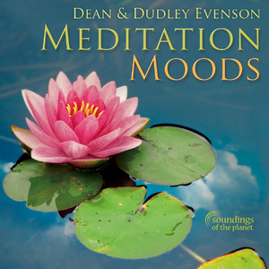 久久精品熟女亚洲AV麻衣
